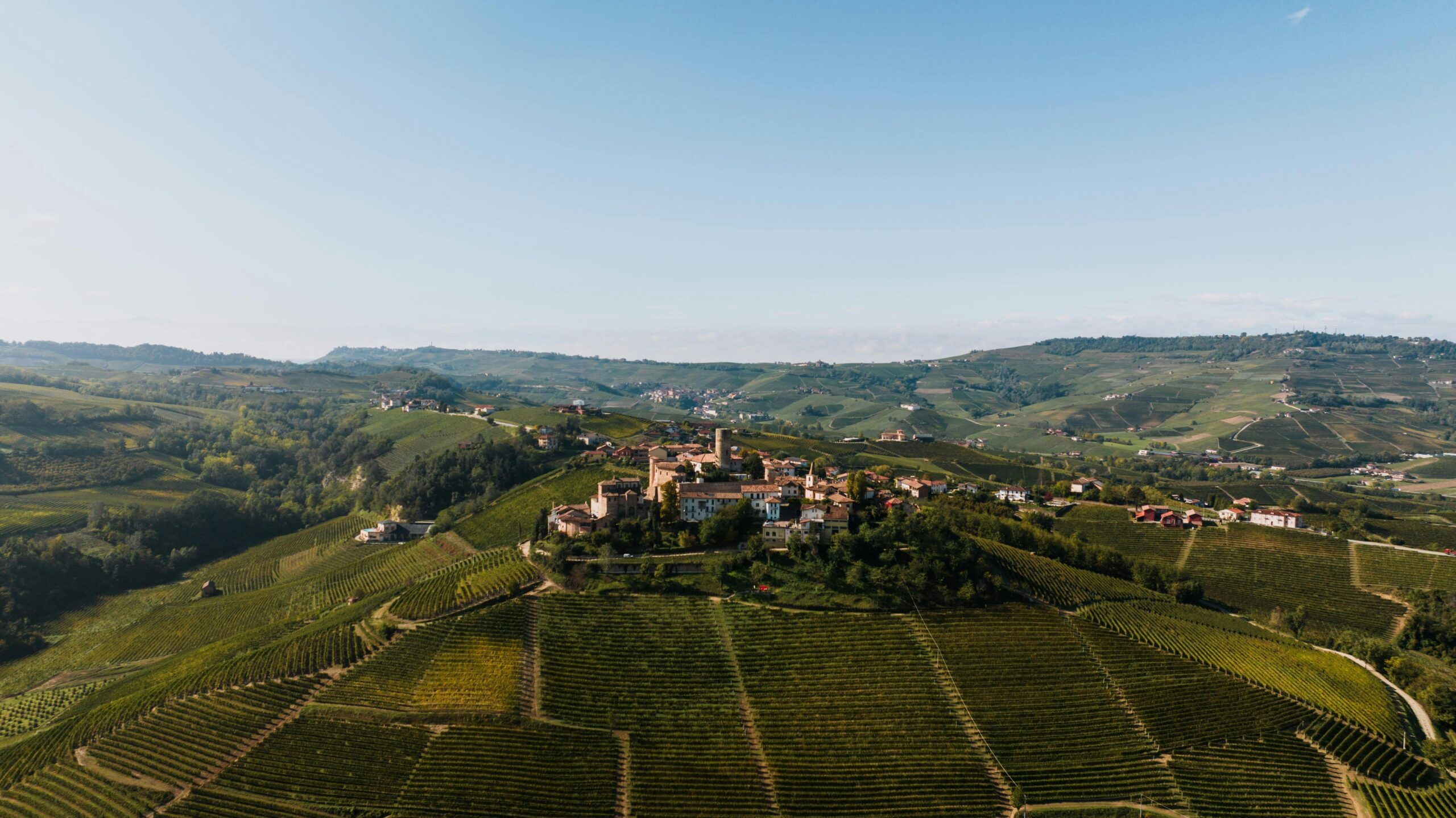 Stunning aerial view of Castiglione Falletto's vineyards in summer, Piedmont, Italy.